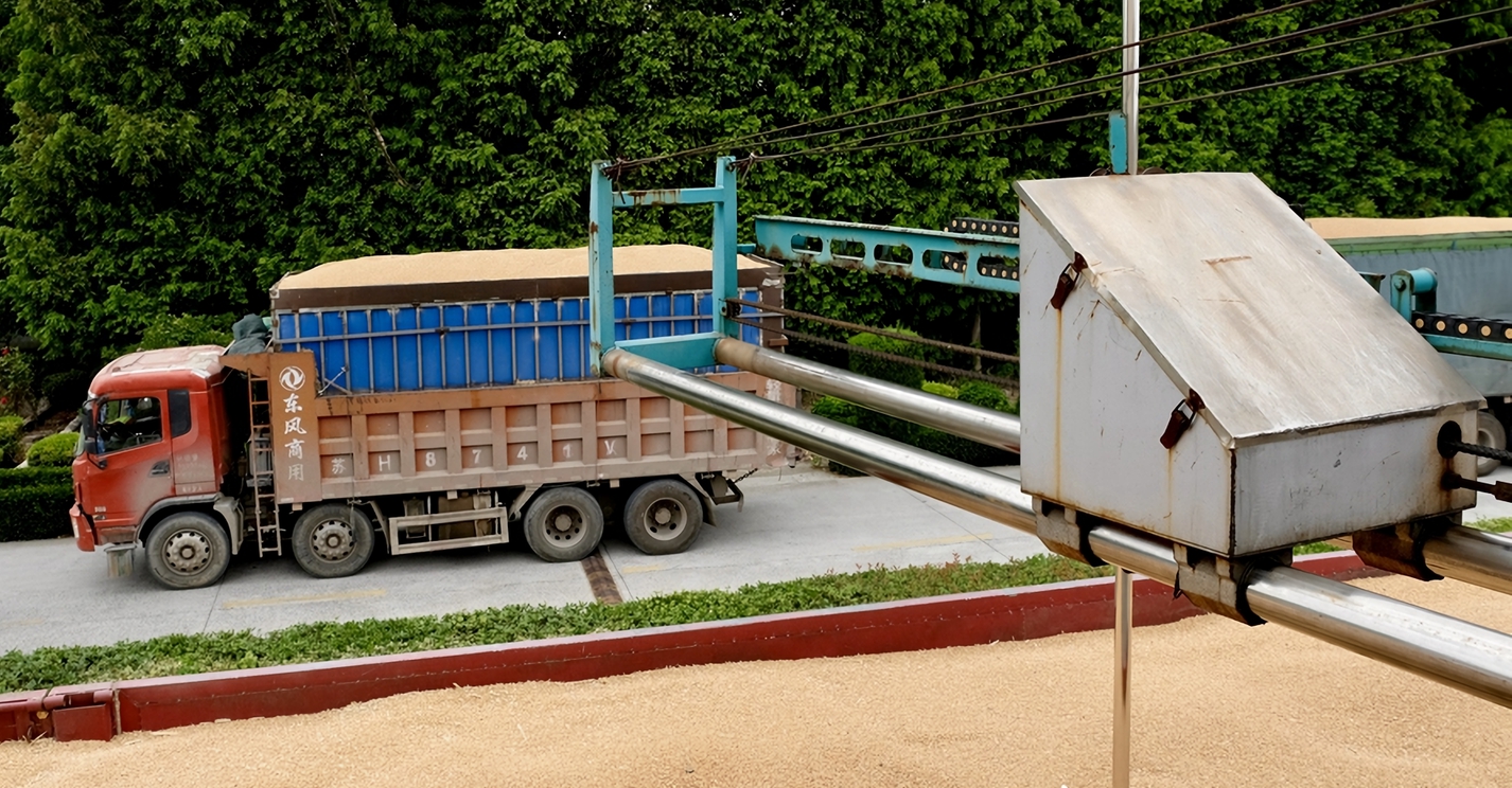 老郭卖粮记  6月24日早上，44岁的郭瑞芝自己开了1辆半挂车，后面跟着5辆，满载本季新打的小麦，径直来到中央储备粮江苏淮安直属库楚州分库。  正值夏粮销售旺季，这里的售粮车却不拥挤。郭瑞芝扬扬手机说：“可以提前在‘惠三农’App上预约，也可以打电话预约，错峰卖粮，农户之间‘不打架’。”  