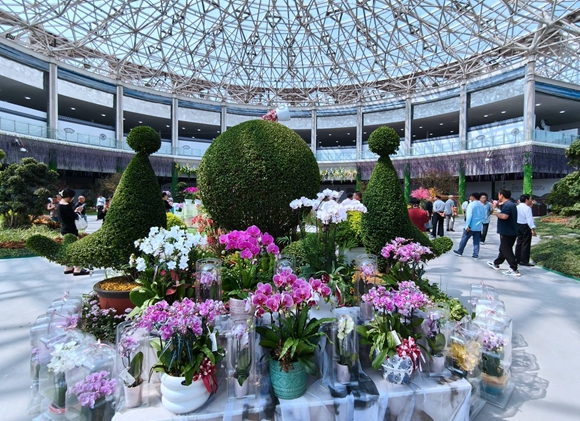 中国花谷2024金秋花木交易会现场。丁华明摄