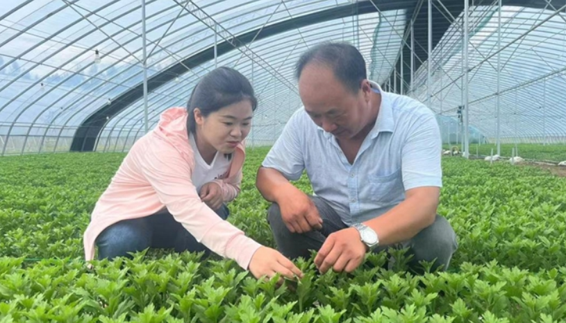  花开东海富万家东海县有“华东花都”之称，当地拥有江苏省面积最大的鲜切花生产基地，“鲜花经济”年产值已超10亿元。山左口镇的菊花与双店镇的百合是其中的代表，上海市场上的百合约四成产自东海县。【详细】