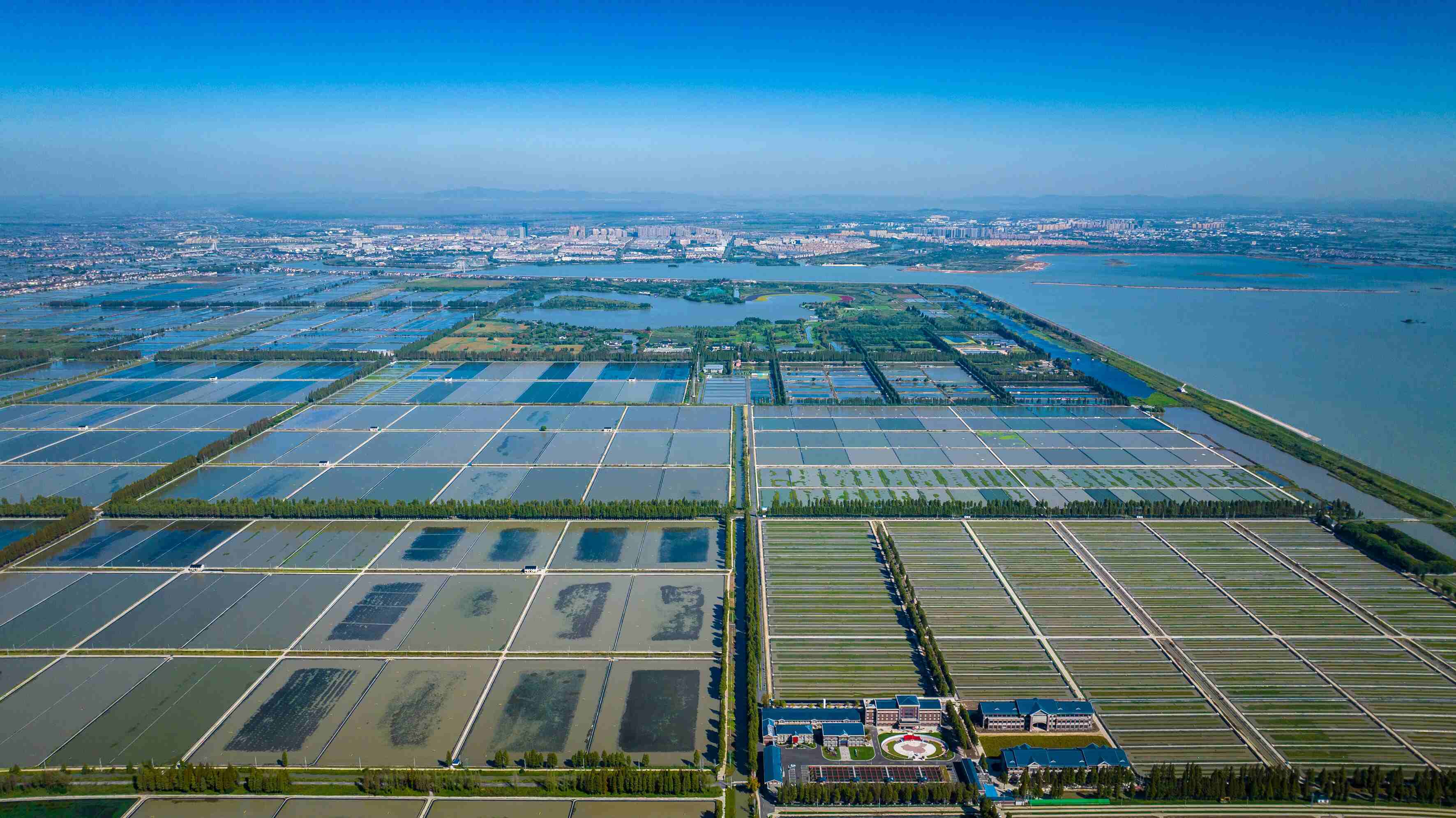 航拍高淳固城湖螃蟹核心产区。高淳区融媒体中心供图