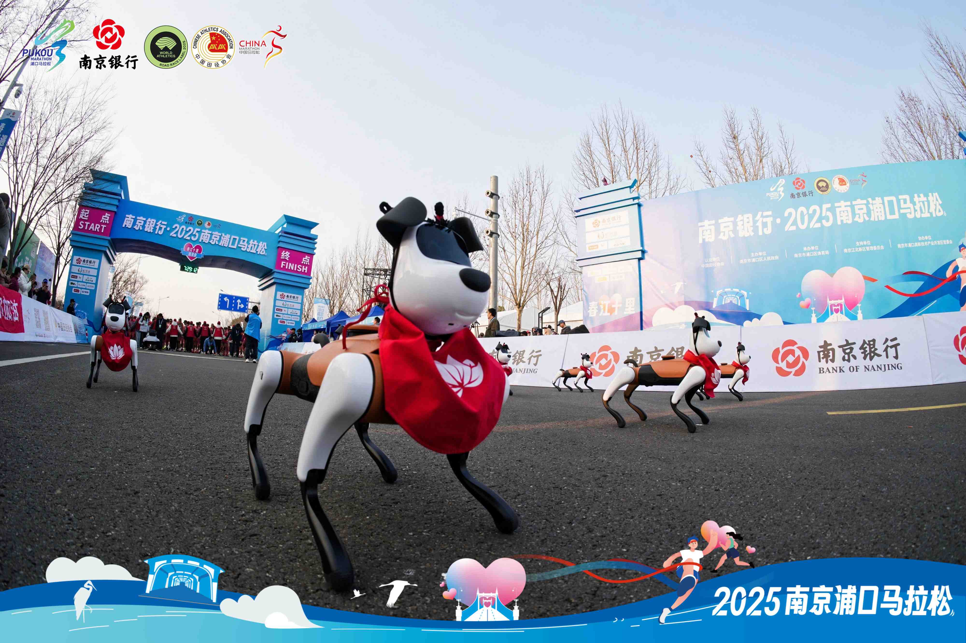 2025南京浦口马拉松鸣枪开跑 2万人齐聚长江之畔【7】