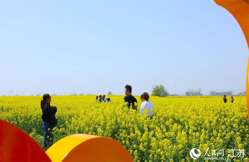 高邮湖畔游客赏花。人民网 范尧摄