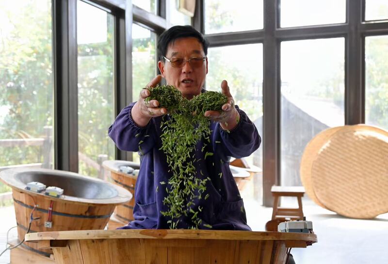 南京市江宁区第三批国家级非物质文化遗产项目“雨花茶制作技艺”的代表性传承人张德全正在炒茶。颜颖 摄