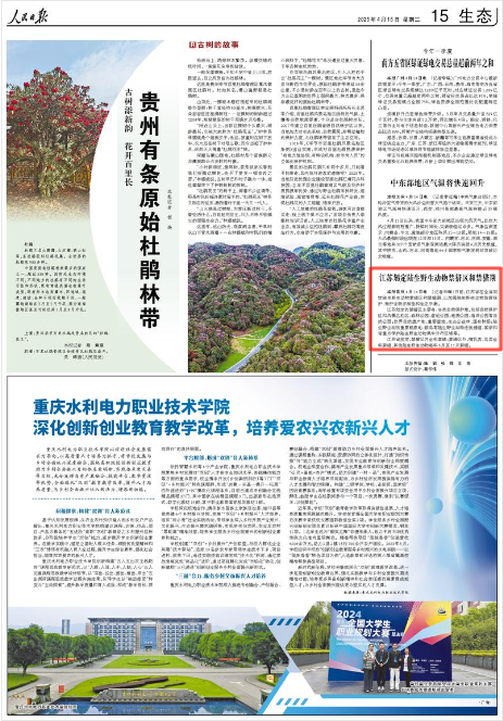 《人民日报》2025年4月15日15版 版面截图