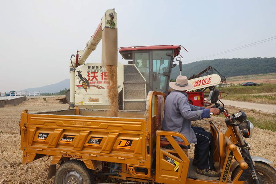 小麦收割现场。赣榆区委宣传部供图