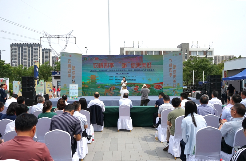 活动现场。高邮市委宣传部供图