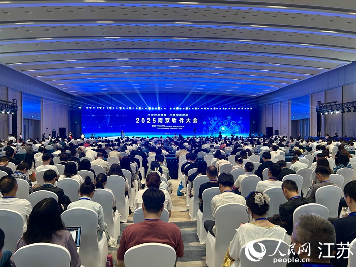 2025南京软件大会开幕式现场。人民网 王丹丹摄