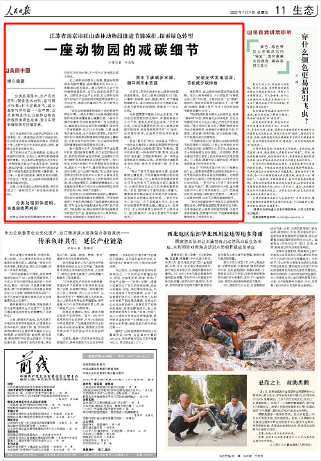 《人民日报》2025年7月4日11版 版面截图