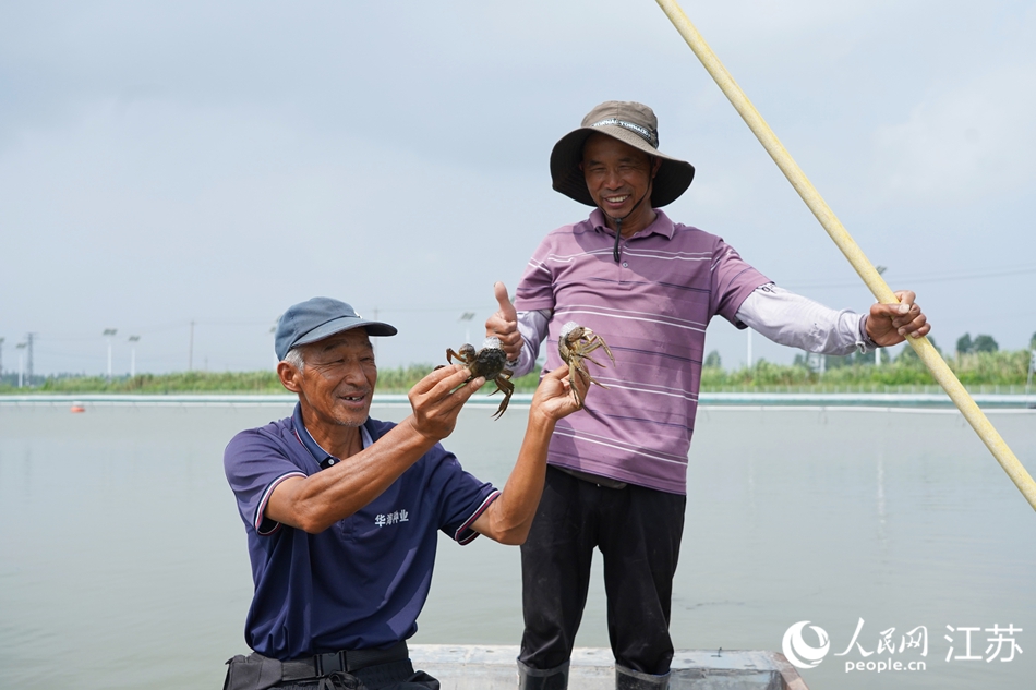蟹农展示捕捞出水的“六月黄”。人民网 王丹丹摄