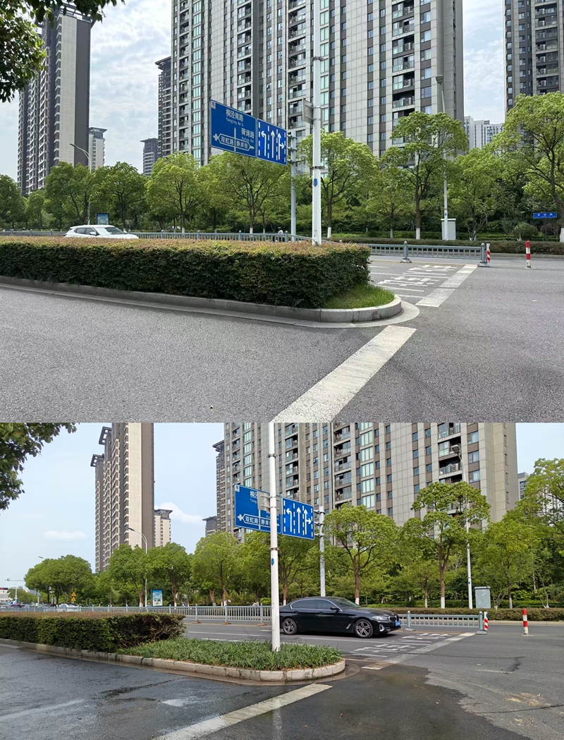 改造前后对比。姑苏区绿化管理站供图