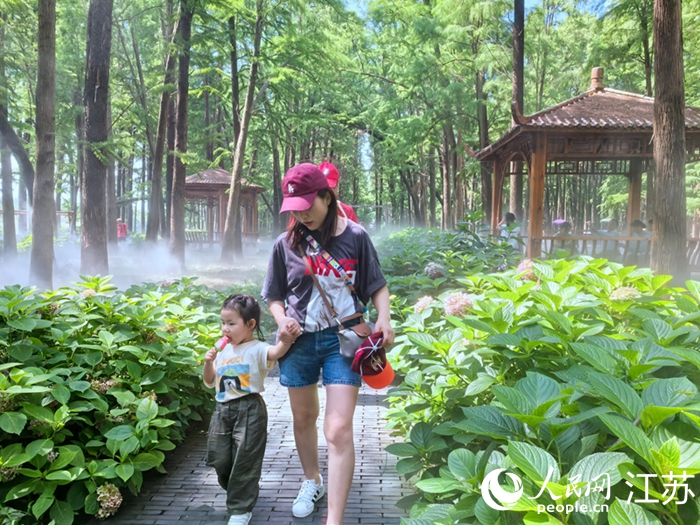 球迷游客在兴化市李中水上森林景区游玩。人民网 王丹丹摄