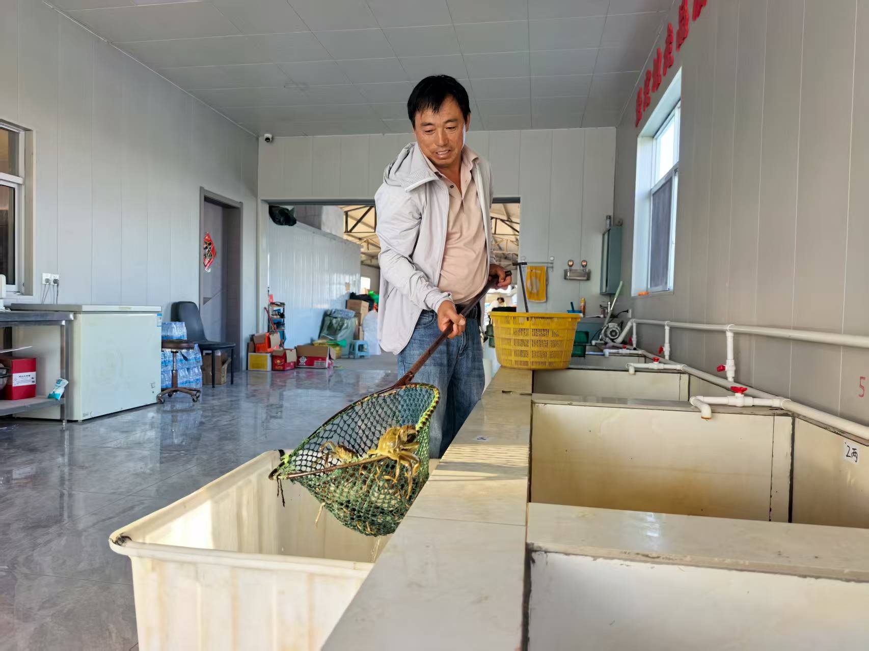 宋成伍将新上市的“六月黄”装箱。孙荪摄