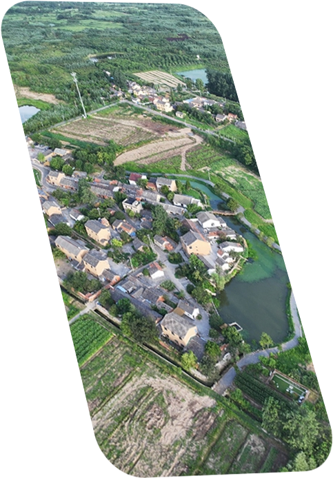 笔墨丹青“润”乡土