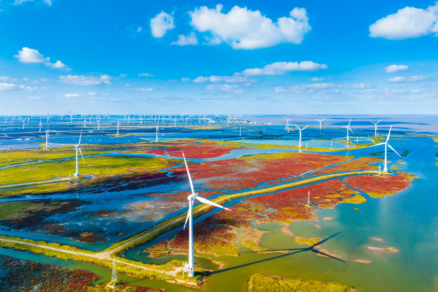 盐城湿地风光。孙华金摄