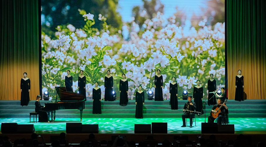 演出现场。溧水区委宣传部供图