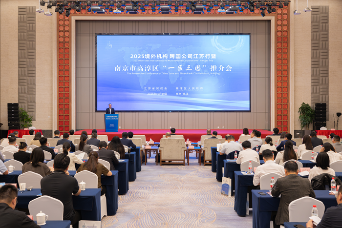 活动现场。高淳融媒供图