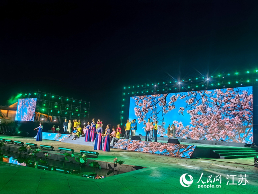 “村晚”活动现场。人民网记者 王继亮摄