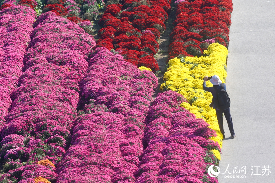 游客在景区内打卡拍照。人民网记者 王丹丹摄