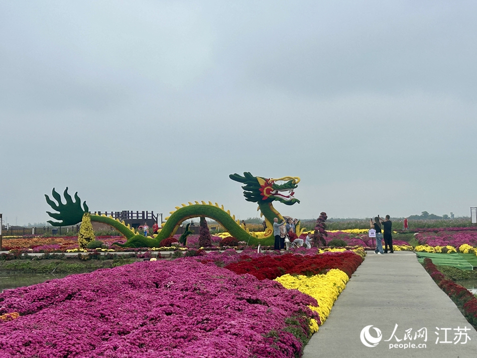 游客在景区内打卡拍照。人民网记者 王丹丹摄