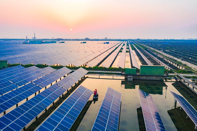 航拍金湖县塔集镇陈家圩的振合“渔光互补”光伏发电站。梁德斌摄