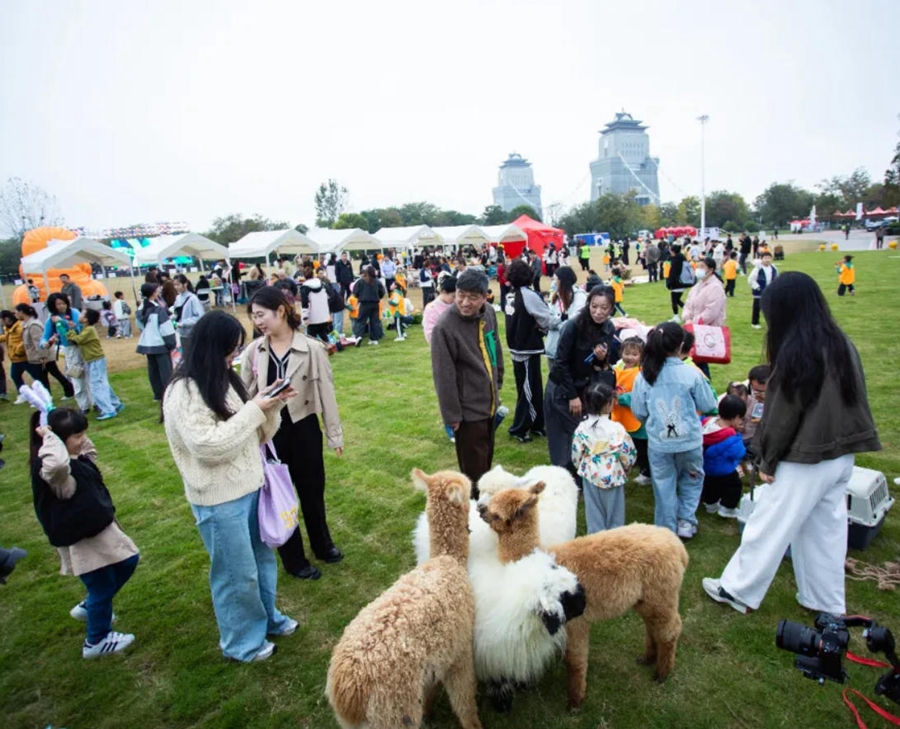 音乐嘉年华活动现场。扬州生态科技新城供图
