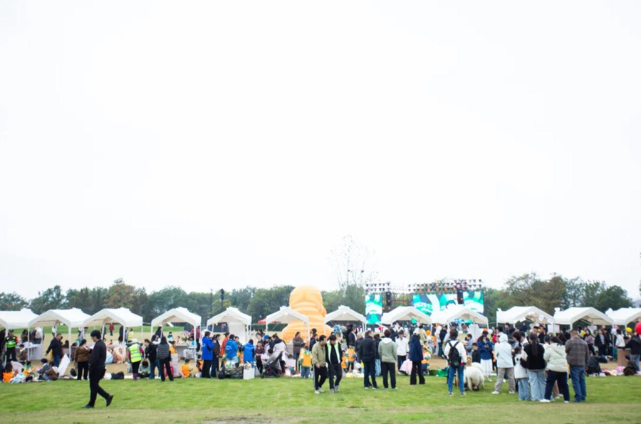 音乐嘉年华活动现场。扬州生态科技新城供图