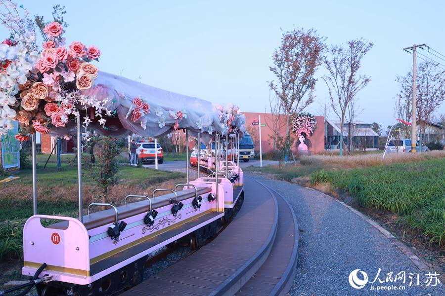 洪泽湖东岸特色田园乡村张庄村。人民网 崔小倩摄