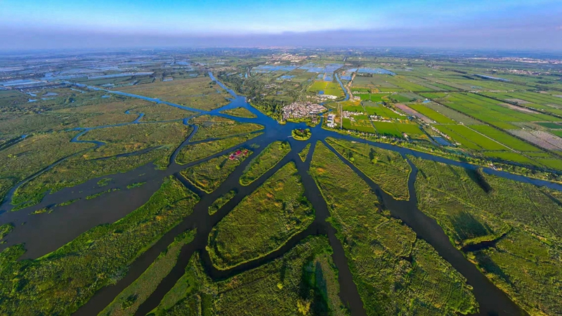 航拍建湖县九龙口国家湿地公园。