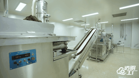 山茱萸加工成丸。