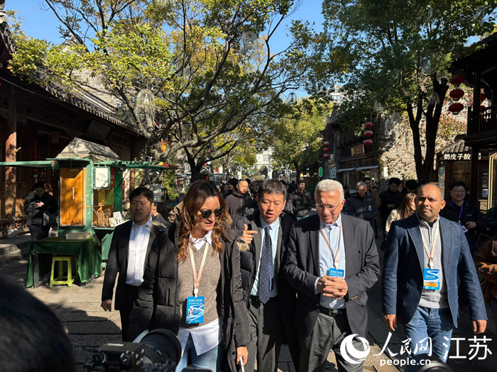 活动嘉宾走进南京老门东历史街区。人民网 刘益佳摄