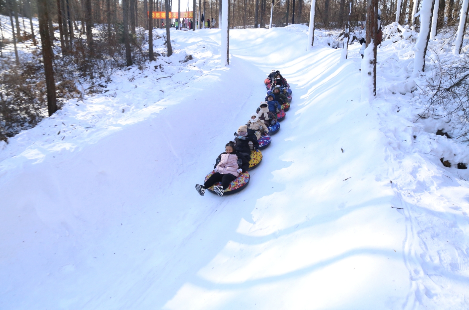 抚顺2000米长的“雪地贪吃蛇”林间雪圈道上，尖叫声不断。