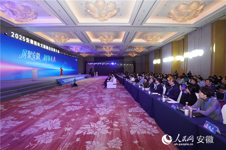 2025安徽视听文旅融合发展大会现场。人民网记者 陈若天摄
