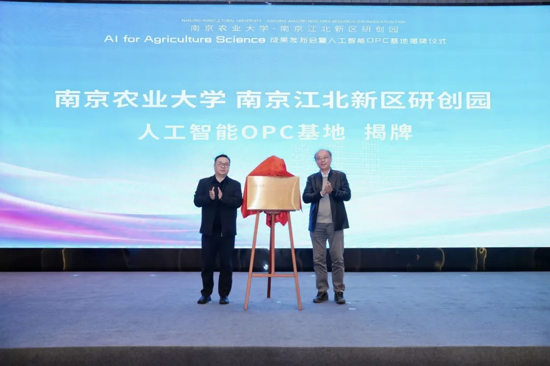 揭牌仪式现场。南京江北新区供图