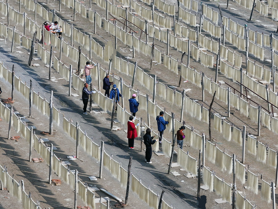 高家堰镇30亩连片的粉丝晾晒场。徐薇摄
