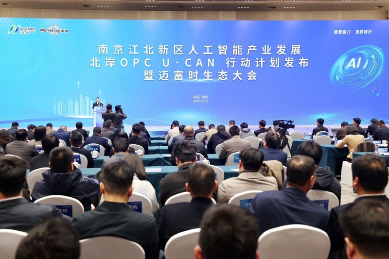 活动现场。南京江北新区供图