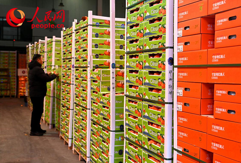 1月4日，客商在万邦农产品物流城挑选水果。人民网记者 王玉兴摄