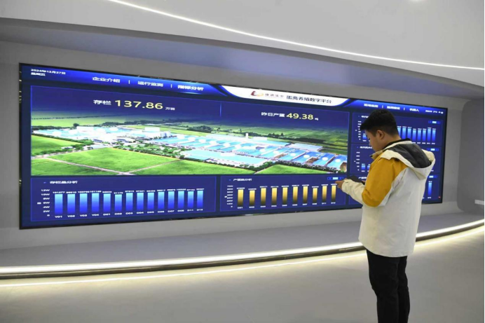 海安蛋禽养殖数字平台。濮端建摄