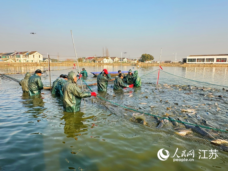 活动现场。人民网记者 周梦娇摄