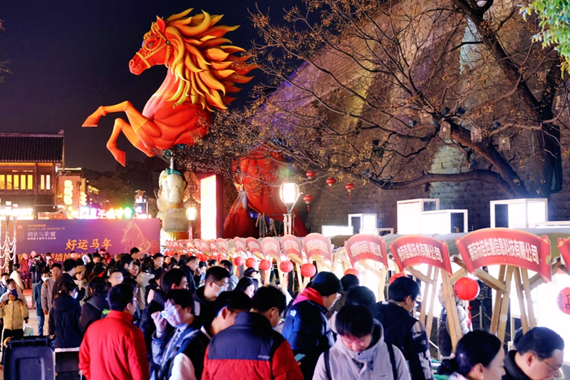 南京特色“人才夜市”活动现场。林宁摄