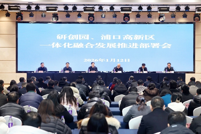 会议现场。江北新区供图