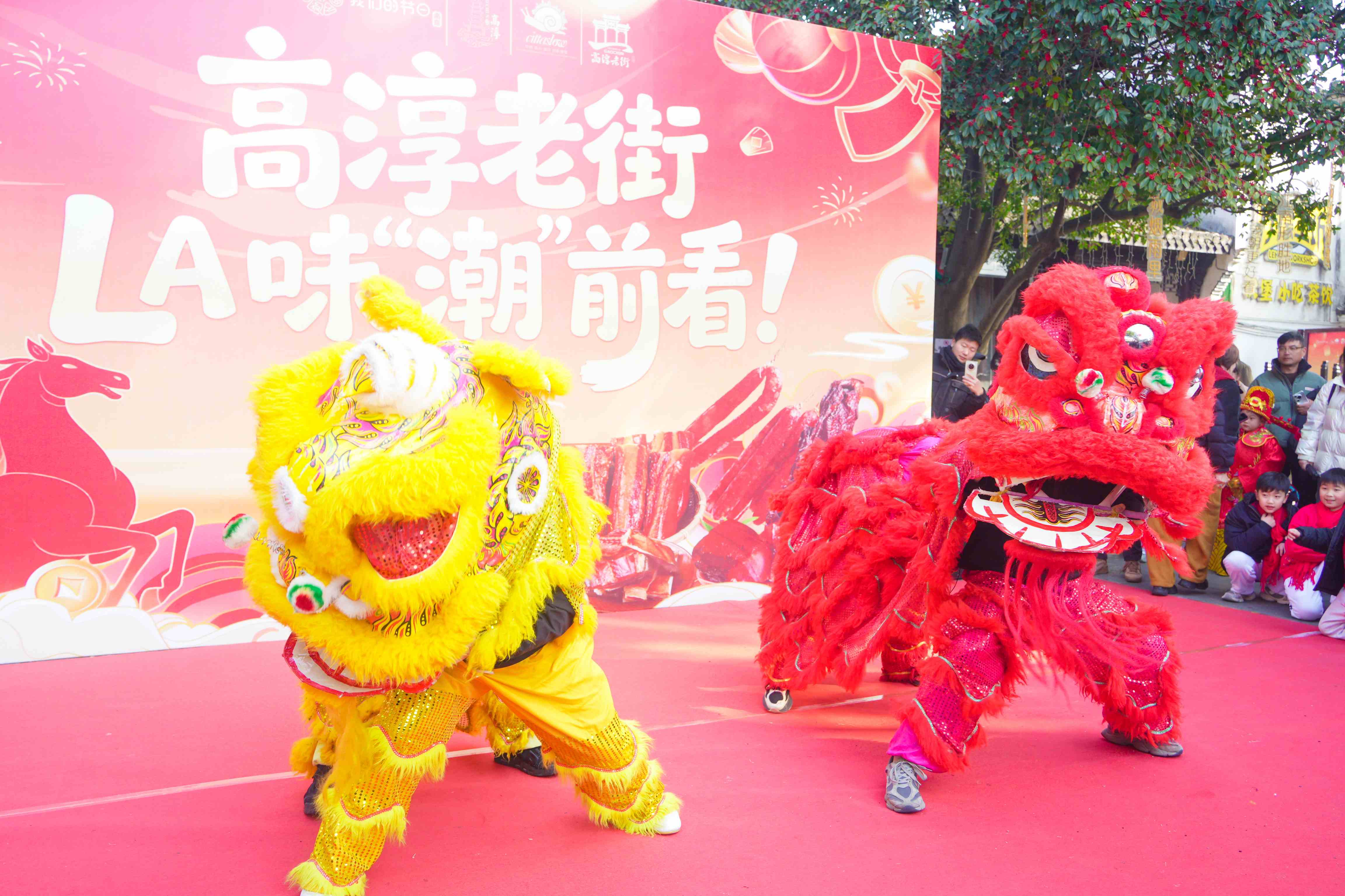 舞獅表演。高淳區委宣傳部供圖