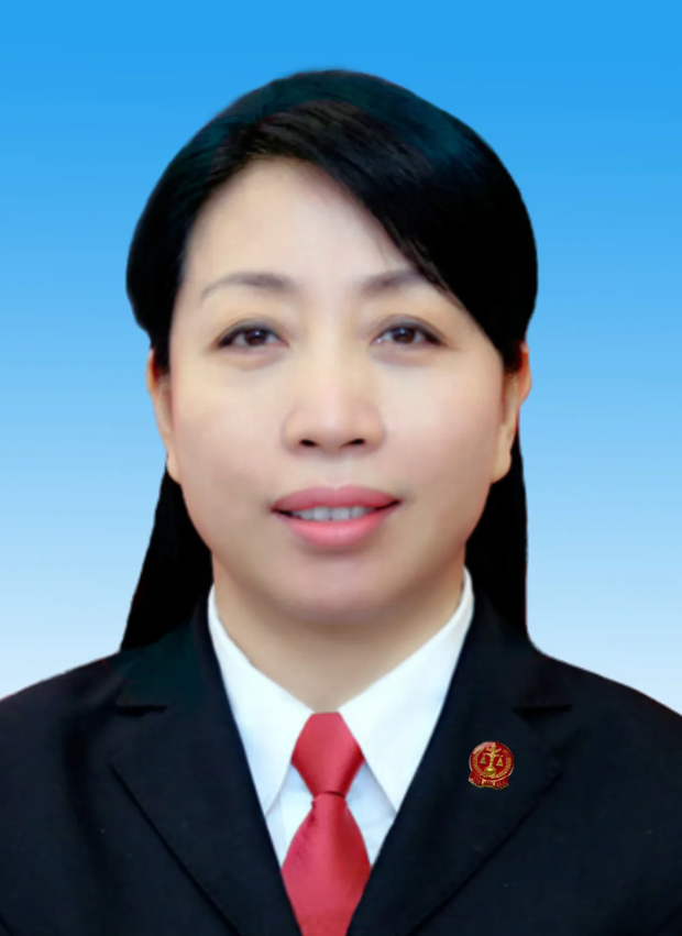 省高级人民法院院长当选人