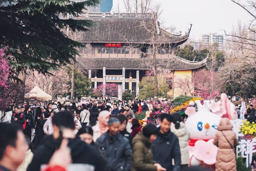 天寧勝境梅花游園活動。常州市委網信辦供圖