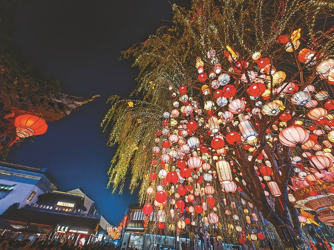 老门东的“网红树”。刘军摄