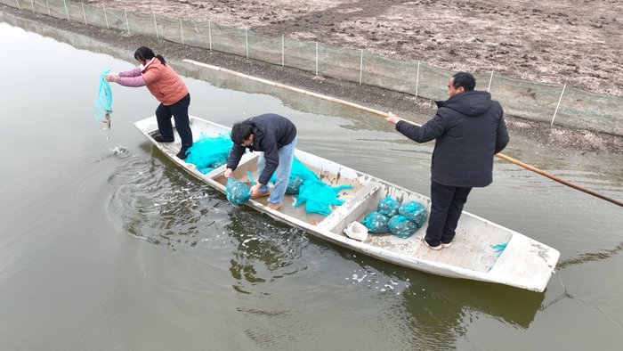 高淳区蟹农正在投放今春第一批蟹苗。高淳区融媒体中心供图