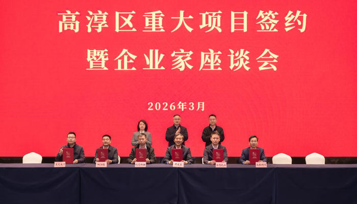 签约现场。高淳区融媒体中心供图