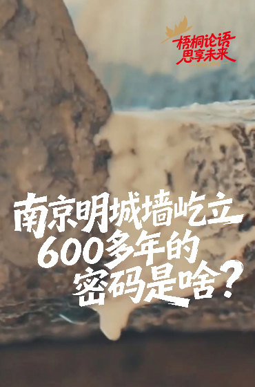 南京明城墙屹立600多年的密码是啥