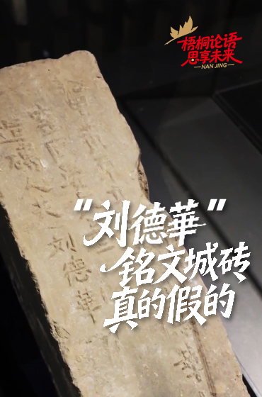 小孩哥把家乡南京拍成爆款