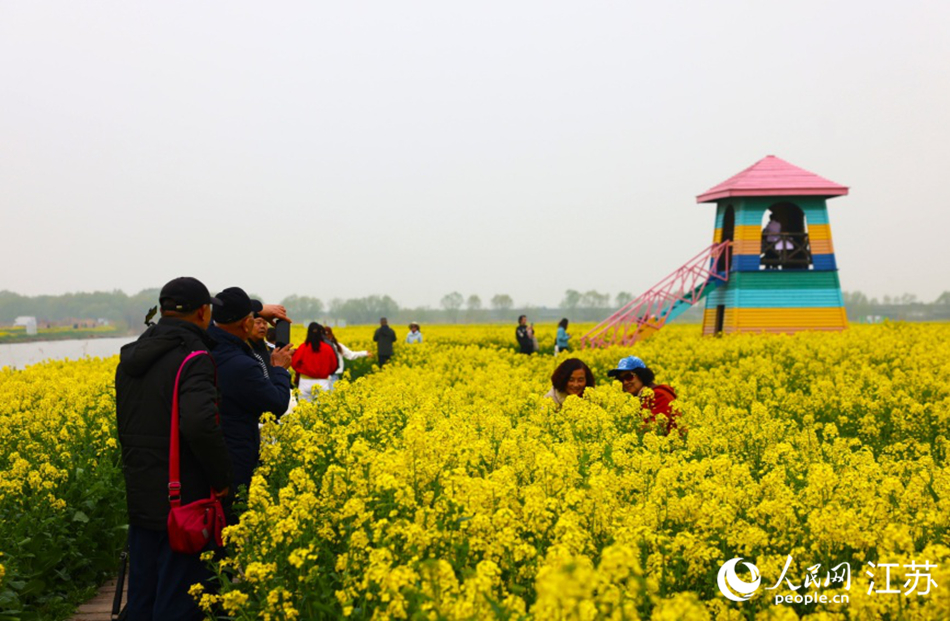 春日花海间游人惬意赏景。