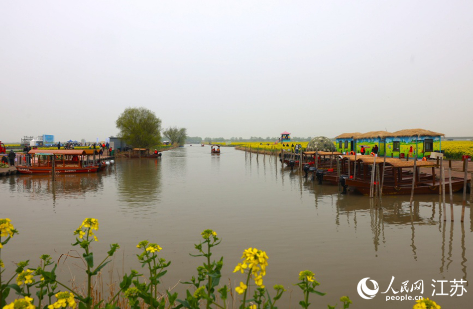 湖光与花海相映。